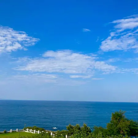 Apolon Complex ソゾポル