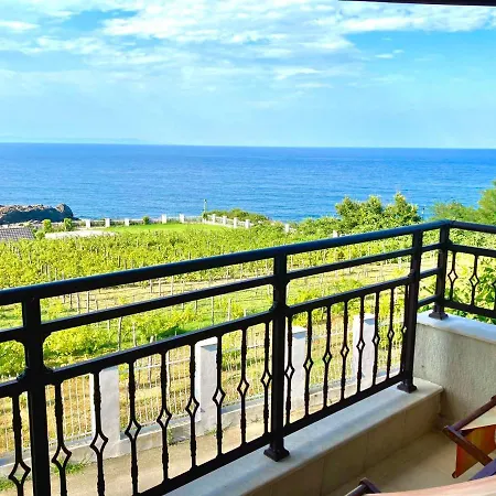 アパートホテル Apolon Complex